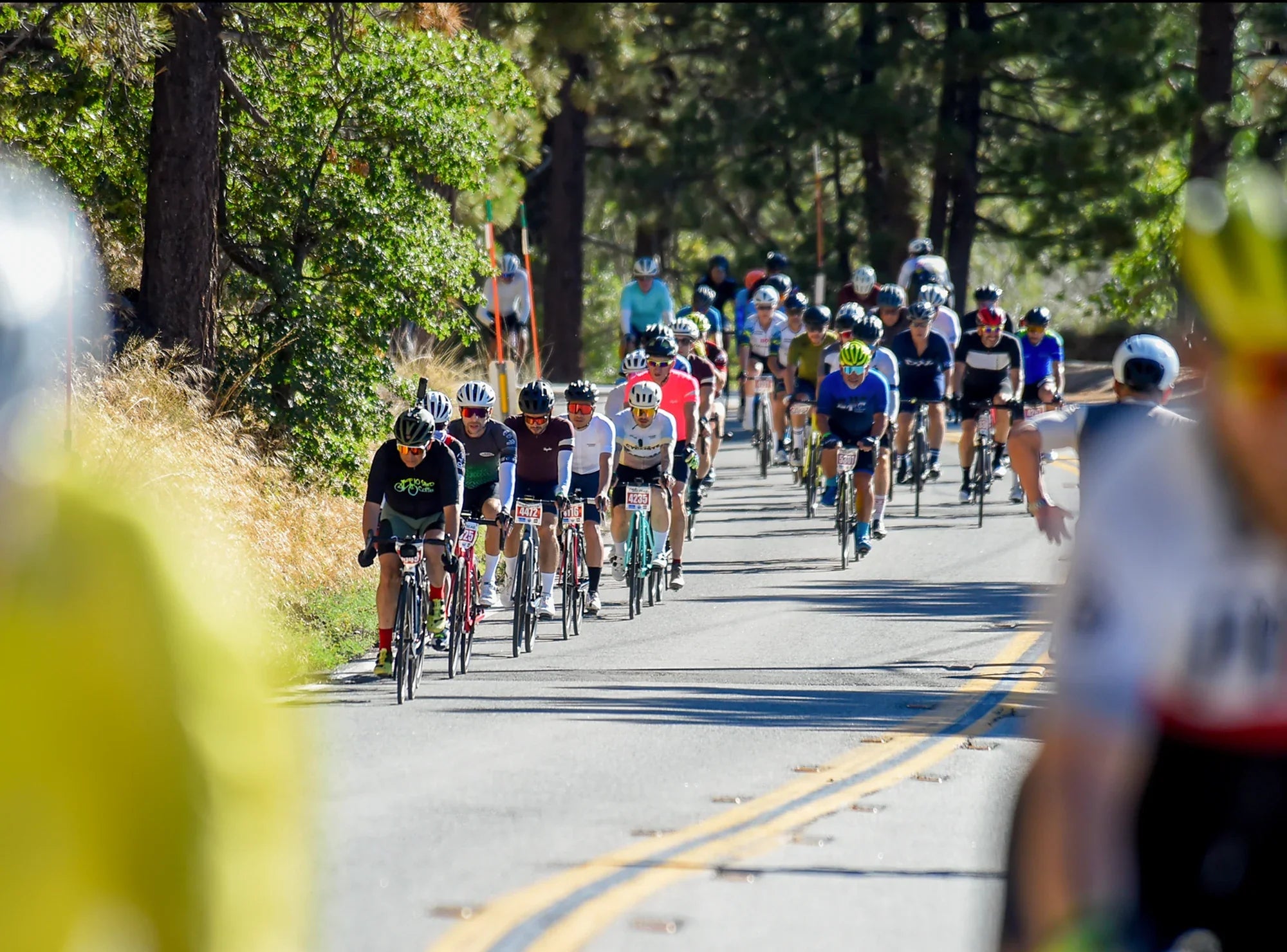 Cycling Apparel